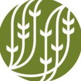 Palais des Thés | Пале де Тэ