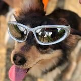 коржеподобный 🍞