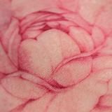 Ирина 🌸 Акварель, эскизы и жизнь