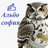 Комментарии канала Альбософия 👨🏻💻👩🏼💻safinshorts