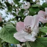 Биология вокруг нас🌱 Заметки репетитора по биологии🖋 Иваник Лариса Степановна 🍁