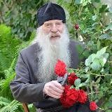 СЛВЧ 21+ [СЕКРЕТНЫЙ]