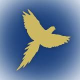 ЮЛИЯ ЗИНОВЬЕВА