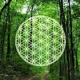 PRO Сочи и не только...