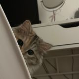 комментики<3