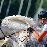 Конный магазин Технология спорта