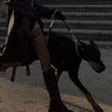 Сериал пёс 1-7 сезон