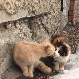 солнце | цитаты