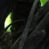 Пировалероновый дзен