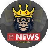 🔥 RichMonkey.biz News 🔥