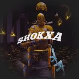SHOKXA group