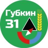 Губкин 31