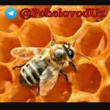 Пчеловодство Узбекистана