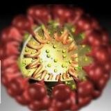 CORONAVÍRUS — 📖 Dra. Sônia 🕊