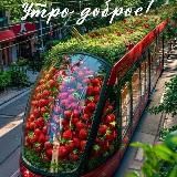 клубника в Чите!