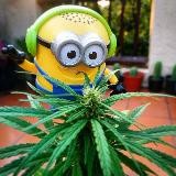 TEST NATURE ОТСТОЙНИК