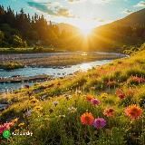 Фото и видео