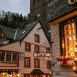 𝓶𝔂 𝓵𝓲𝓯𝓮🐾