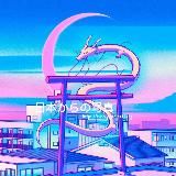 日本からの写真