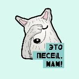 Хакасский хаски
