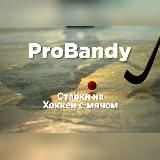 ProBandy | Ставки на хоккей с мячом