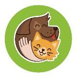 Усы, лапы, Екб