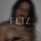 Fliz