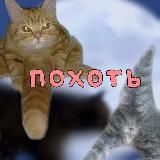 °`Косяк с пола | JOTF ``