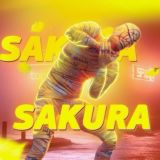 SAKURA CHEATS/читы, конфиги на пабг