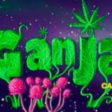 GanjaLive Group