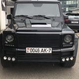 MZ&001BY- Шумиха страны, сливы, запрещенка