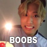 может кошка