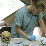 Судебная медицина