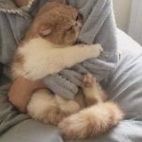 гороскопы🫶🏻