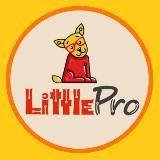 LittlePro Детский IT-центр Новороссийск