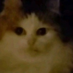 Чат/Chat bases_brute