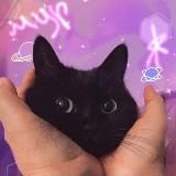 Пикчи-это любовь❤️