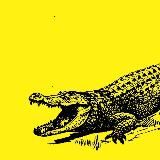 Админские мемы