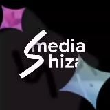 медиашиза