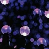 Гифки Bulletproof 💜 ARMY💜BTS