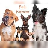 Pets Forever