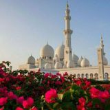 Rasululloh ﷺummatlari