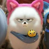 Юмор смешные картинки видео Chat