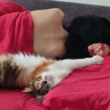 решится само собой