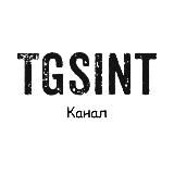 🕷 @TGSINTbot