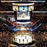 MMA l UFC-Boxing-Muay Thai-Grappling Новости