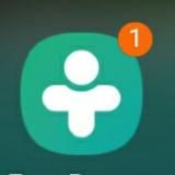 Сливы друг вокруг