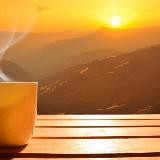 Дисциплина.