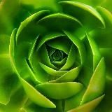 Отзывы «Распаковка»