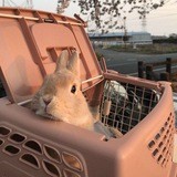 Под настроение 💽